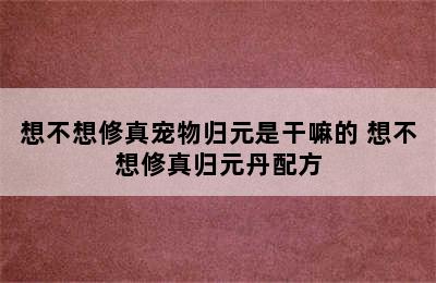 想不想修真宠物归元是干嘛的 想不想修真归元丹配方